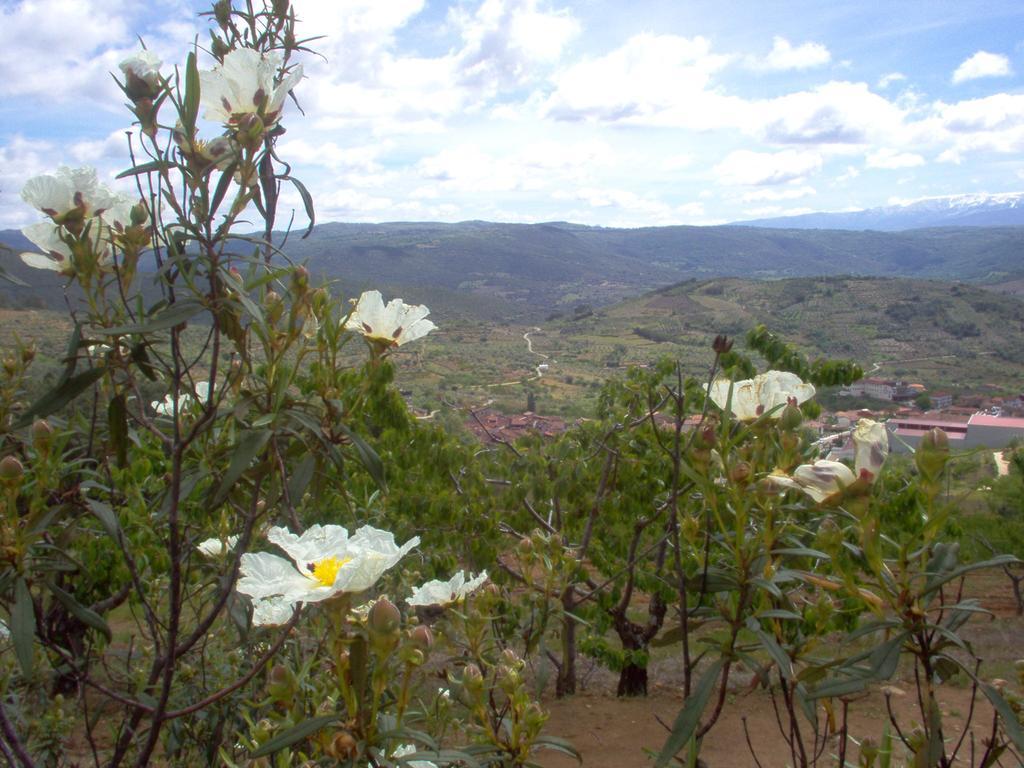 Hotel Rural Sierra De Francia Sotoserrano Luaran gambar